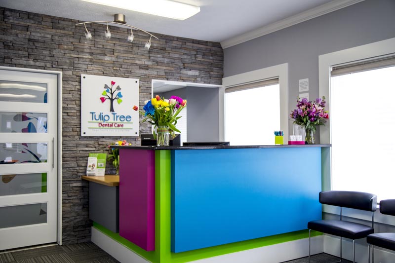 Tour our South Bend, IN Dental Office | Tulip Tree Dental Care