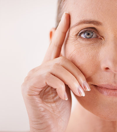 Exion Face Tulip Tree in South Bend IN